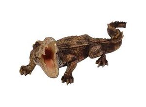 4250486192393 - - Krokodil Dekofigur 18x20x50cm Polyresin Wetterfest Figur