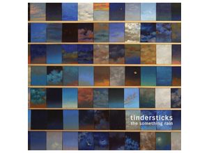 4250506803513 - The Something Rain - Tindersticks (CD)