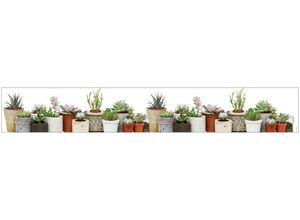 4250522221360 - Fensterfolie Look Succulents MySpotti halbtransparent glatt 200 x 30 cm statisch haftend beige|braun|grün