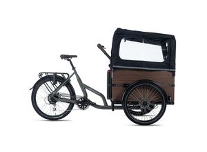 4250547532489 - Cargo E-Bike Urban Deluxe grau 250W 36V 13 Ah Li-Ion-Akku