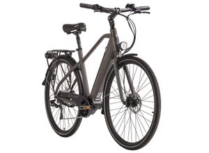 4250547533035 - Hollandia Alu E-Citybike Herren Mantova 28 E-Bike grau 250 Watt Li-Ion 36V 104 Ah 7 Gänge