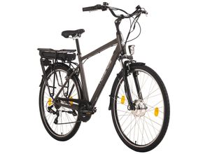 4250547533134 - Hollandia E-Citybike Herren 28 Hollandia Zagon Grau 6 Gänge