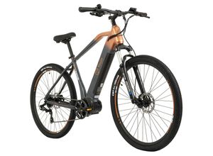 4250547533387 - TOTEM TOTEM E-MTB Hardtail 29 Youin FJ-M Mittelmotor 80NM   15Ah stahlgrau-orange