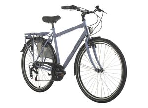 4250547534391 - Hollandia Hollandrad Herren 28 City Next Blau RH 56 cm 6 Gänge Hollandia