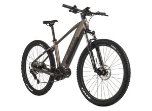 4250547534520 - ADORE E-Mountainbike Hardtail 29 GX-750 Mittelmotor 130NM   15Ah Platingrau