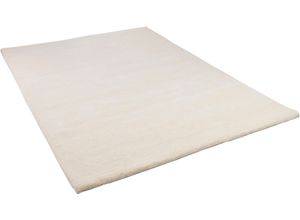 4250617476699 - Wollteppich THEKO Maloronga Uni Teppiche Gr B L 170 cm x 240 cm 24 mm 1 St beige (natur weiß) Schurwollteppiche