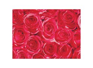 4250650224059 - As4home - Klebefolie - Möbelfolie - rote Rosen - Dots - 45 cm x 200 cm Dekorfolie