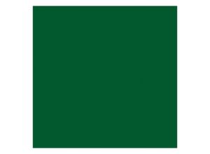 4250650242855 - As4home - Tafelfolie grün Klebefolie - selbstklebende Möbelfolie 045 x 15 m Dekorfolie