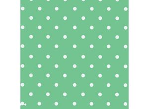 4250650274405 - As4home - Klebefolie Vintage selbstklebende Möbelfolie Mint Punkte - Dots 045 m x 2 m