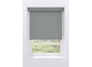 4250662106510 - Verdunklungsrollo MY HOME Lea grau (hellgrau hellgrau weiß) B90cm H190cm Polyester Rollos