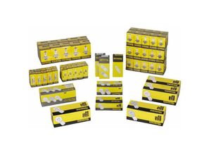 4250670901664 - Brehma - 160tlg Werkstattpaket Autolampen 12V