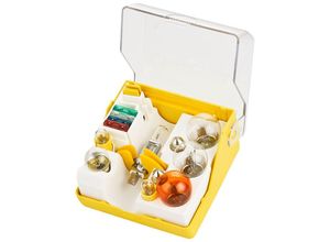 4250670902920 - Brehma - 14tlg Ersatzlampenkasten Ersatzlampenbox Ersatzlampenset 12V H3