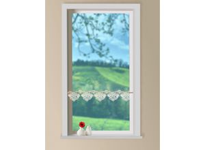 4250706231680 - W Reuter & Sohn - Plauener Spitze® Scheibengardine »Blüten« (1 St) Made in Germany