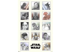 4250795899891 - Star Wars Episode 8 Poster Characters