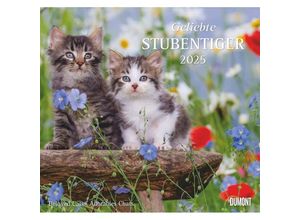 4250809652498 - DUMONT - Geliebte Stubentiger 2025 Wandkalender 38x355cm Kalender mit niedlichen Katzen-Motiven und den wichtigsten Feiertagen mit Spiralbindung