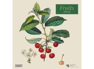 4250809652818 - DUMONT - Fruits 2025 Broschürenkalender 30x30cm Wandkalender mit historischen Abbildungen alter Obstsorten von Pierre Antoine Poiteau international