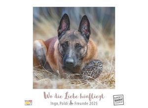 4250809653044 - DUMONT - Ingo Poldi und Freunde Wo die Liebe hinfliegt 2025 Wandkalender 23x23cm Kalender im Quadratformat mit wundervollen Tier-Motiven deutsche