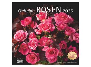 4250809653082 - DUMONT - Geliebte Rosen 2025 Wandkalender 30x30cm Kalender mit traumhaften Rosensträußen und mit allen wichtigen Feiertagen