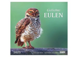 4250809653358 - DUMONT - Geliebte Eulen 2025 Wandkalender 38x355cm Kalender mit schönen Eulen-Motiven und den wichtigsten Feiertagen Spiralbindung