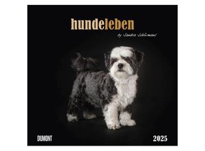 4250809653365 - DUMONT - Hundeleben 2025 Wandkalender 38x355cm Foto-Kunst-Kalender mit charmanten Tiermotiven und Zitaten by Sandra Schürmans