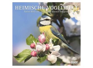 4250809653525 - DUMONT - Heimische Vogelwelt 2025 Wandkalender 38x355cm Kalender mit beeindruckenen Aufnahmen der Vogelwelt mit den wichtigsten Feiertagen