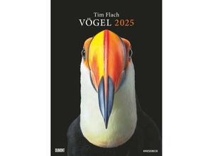 4250809653549 - DUMONT - Tim Flach Vögel 2025 50x70cm Posterkalender mit diversen Vogelarten in faszinierenden Nahaufnahmen fotografiert von einem der weltbesten