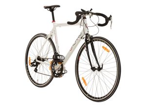 4250845903059 - Giro DItalia Rennrad 28 Zoll Damen Herren 155 - 195 cm Fahrrad 14 Gänge Fitnessrad