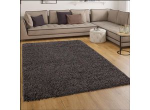 4250857517282 - Paco Home - Shaggy Hochflor Langflor Teppich Sky Einfarbig in Anthrazit 120x170 cm
