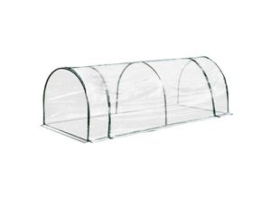 4250871294947 - Folientunnel transparent grün 250 x 100 x 80 (LxBxH) Treibhaus Tomatenhaus Frühbeet Foliengewächshaus