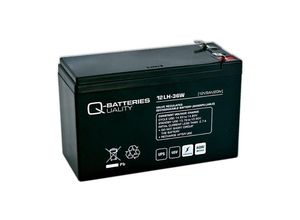 4250889622541 - Quality Batteries - Ersatzakku für Best Power Patriot Pro 400VA USV-Anlage