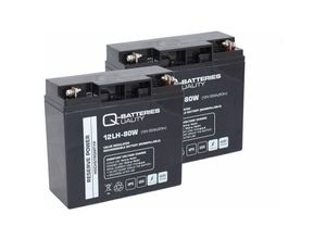 4250889639068 - Ersatzakku für RBC7 RBC 7 Hochstrom AGM Batterie 12V 20Ah (2Akkus)