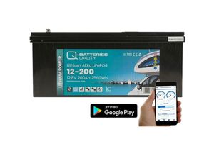 4250889694623 - Inselanlage pv 400Wp 24V mit 24kWh Lithium LiFePO4 Speicher