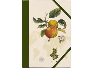 4250915932224 - Kew Gardens Sammelmappe - Motiv Apfel