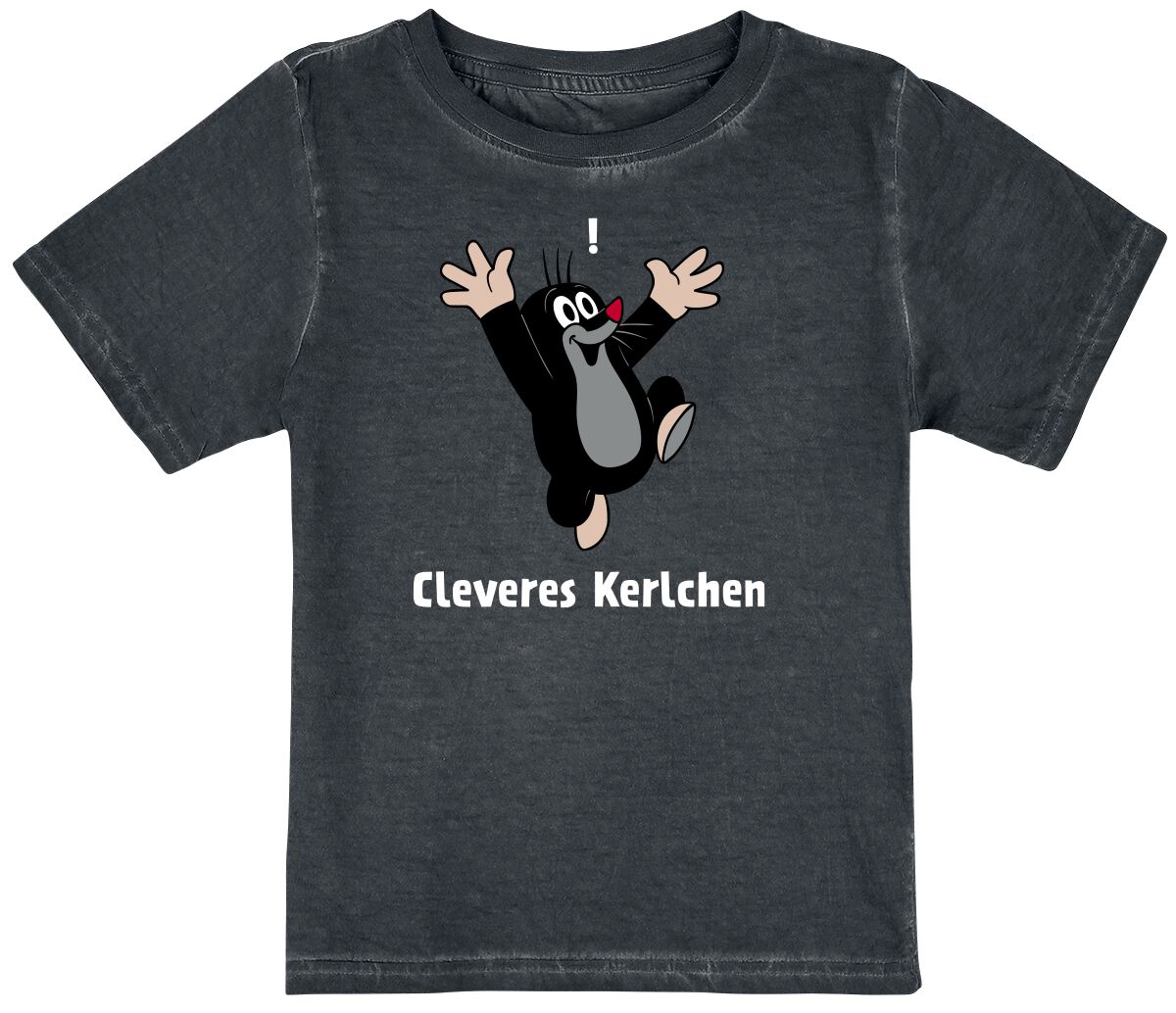 4250979862925 - Kids - Cleveres Kerlchen T-Shirt multicolor in 98