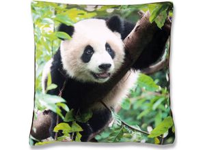 4251028127248 - Bestlivings - Dekokissen Fotodruck Motiv in 40x40 cm Flauschig weiches Kissen in vielen Motiven erhältlich ( Design Panda ) - Panda