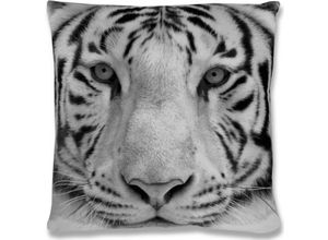 4251028127309 - Bestlivings - Dekokissen Fotodruck Motiv in 40x40 cm Flauschig weiches Kissen in vielen Motiven erhältlich ( Design Tiger Grey ) - Tiger grey