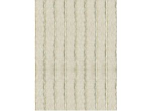 4251028143729 - Arsvita - Flauschvorhang 90x200 ( Beige ) perfekter Insekten- und Sichtschutz für Ihre Balkon- und Terrassentür viele Farben - Unistreifen beige