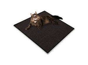 4251041628760 - Floordirekt Katzen-Kratzteppich Katzen 5590 Schwarz Rechteckig 800 mm x 600 mm