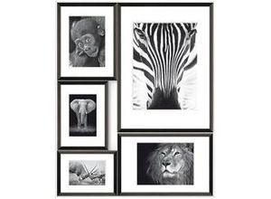 4251050543214 - Bilderrahmen Collage Wild Africa 5 Fotos 53 x 65 cm