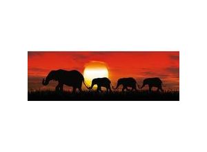 4251050587089 - - Deco-Panel Bild - Sunset Elefants 90 x 29 cm Wandbild