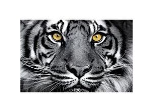 4251050587409 - Deco-Panel Bild - Black Tiger 90 x 58 cm