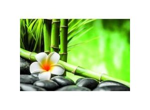 4251050588758 - Deco-Canvas Bild - Bambus Zen 116 x 76 cm