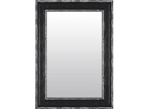 4251062276186 - Dekospiegel LENFRA Nike silber (silberfarben) Spiegel B H T 56cm x 76cm x 44cm Holz Wandspiegel B56cm H76cm T44cm