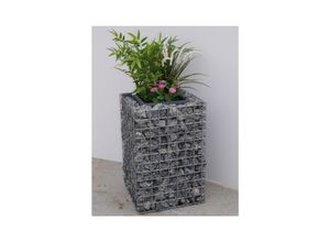 4251062708298 - Gabiona Blumensäule Höhe 60 cm Grundfläche 42 x 42 cm MW 5 x 5 cm galvanisiert inkl Topf