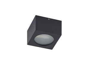 4251096593303 - Arcchio - Nieva Downlight G9 eckig schwarz - Schwarz (ral 9004)