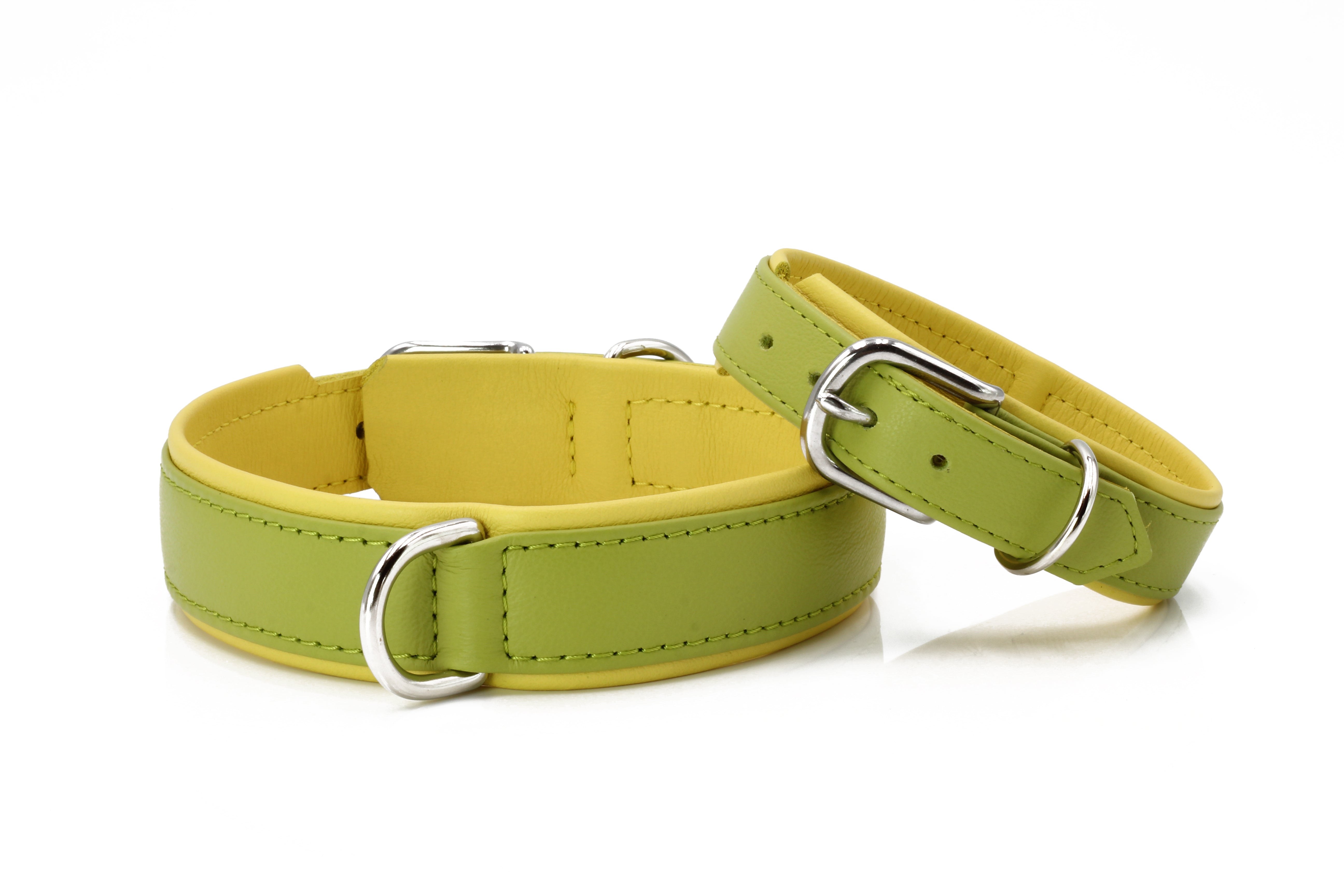 4251103306568 - AMICI Hundehalsband Zitrone