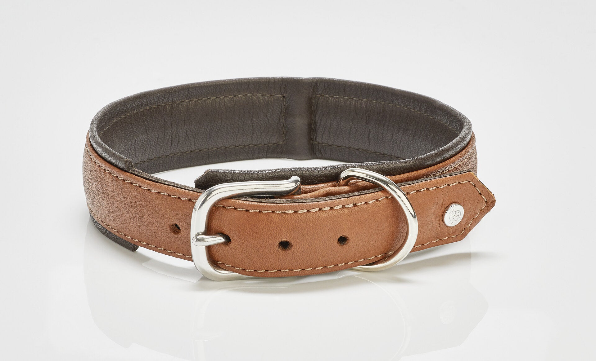 4251103306780 - AMICI Hundehalsband Cognac