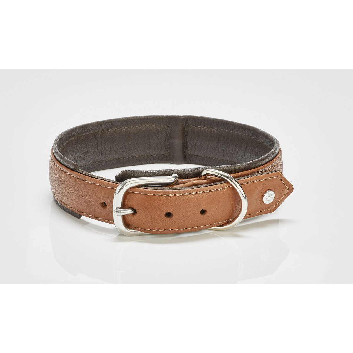 4251103306797 - AMICI Hundehalsband Cognac