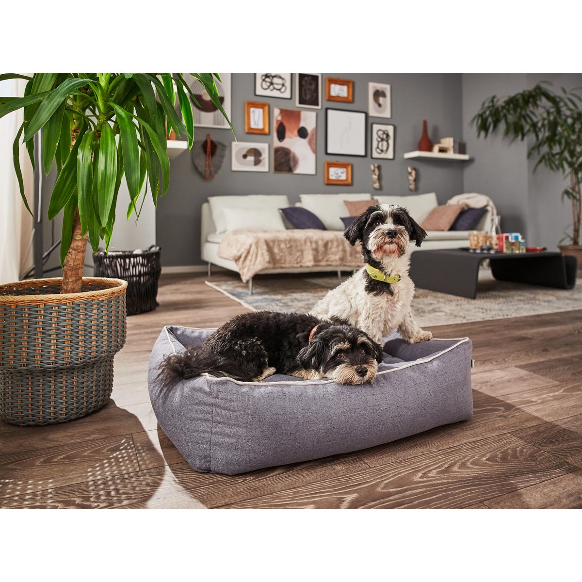 4251103308777 - Hundebett Classic Vito Slate Grey