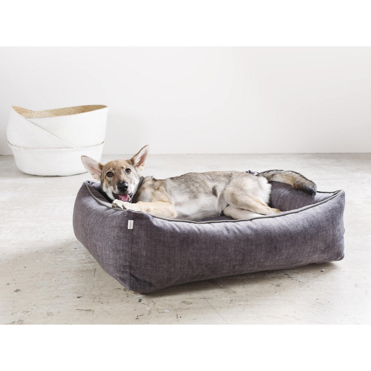 4251103309644 - GLAM ORTHO Hundebett